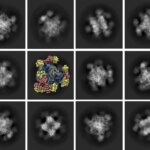 UCLA’s Groundbreaking Advance in Nobel Prize-Winning Imaging Tech