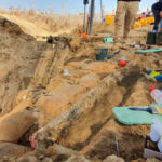Israeli Archaeologists Find 500,000-Year-Old Tusk of Straight-Tusked Elephant