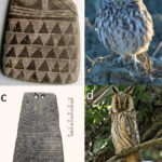 Iberian Owl-Shaped Plaques Were Toys Made by Copper Age Children: Study