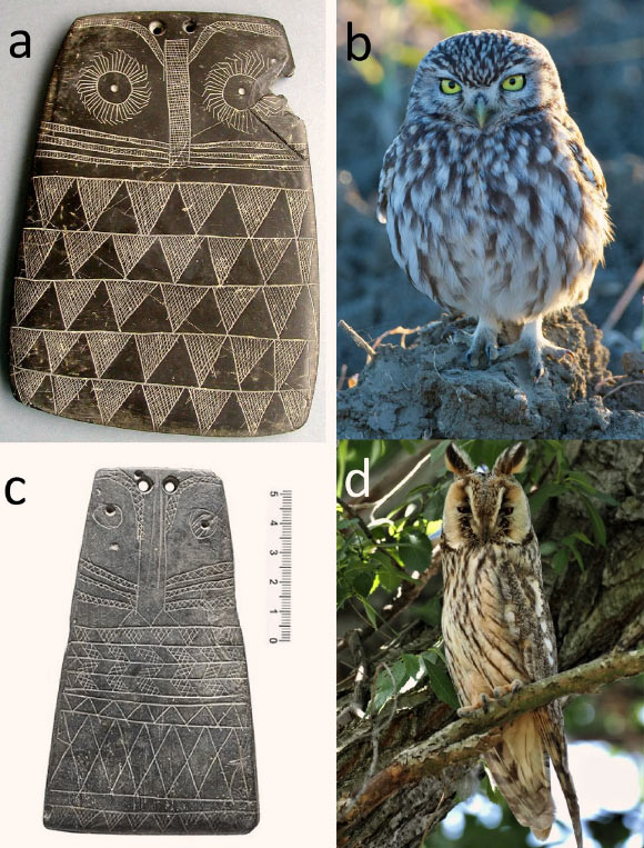 Iberian Owl-Shaped Plaques Were Toys Made by Copper Age Children: Study