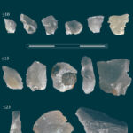 300,000-Year-Old Microartifacts Provide Glimpse into Life of Middle Pleistocene Hominins