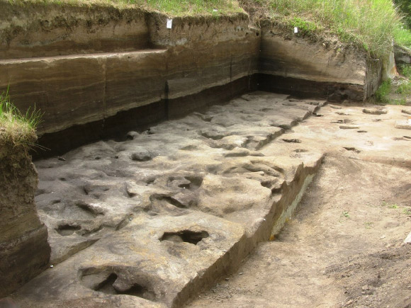 300,000-Year-Old Footprints of Homo heidelbergensis Found in Germany