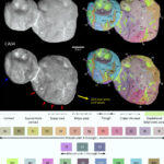 Kuiper Belt Object Arrokoth’s Large Mounds Have Common Origin, New Study Suggests