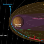 BepiColombo Detects Oxygen and Carbon Ions in Magnetosphere of Venus