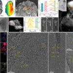 Flakes of Natural Graphene Found in Lunar Soil Samples